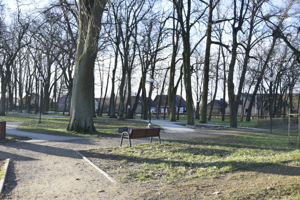 - park_w_janczewie_1.jpg - park_w_janczewie_1.jpg